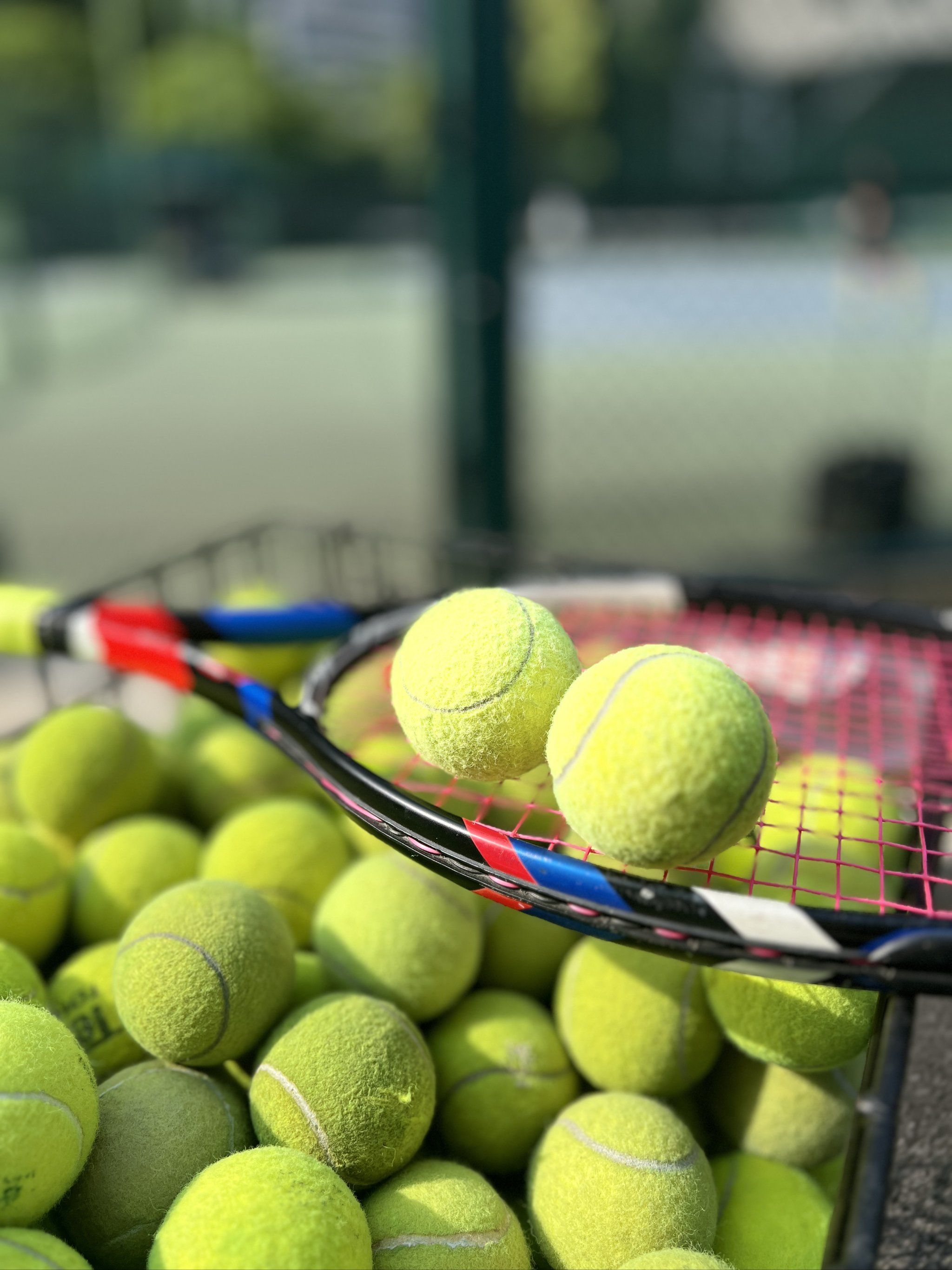 仅激励着队 仅激励着队